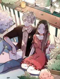 神保町古书街漫画专架与窄巷书架陈列